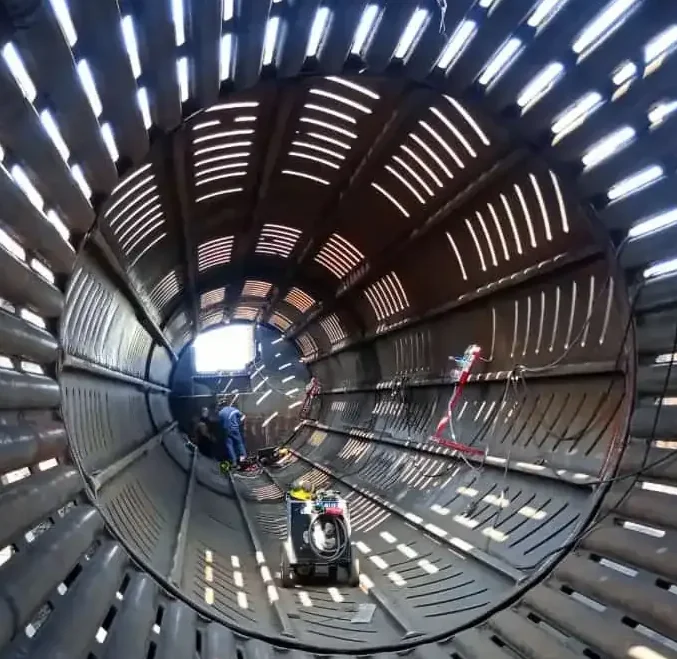 Registro visual industrial: análisis de decaimiento manta descortezador.
